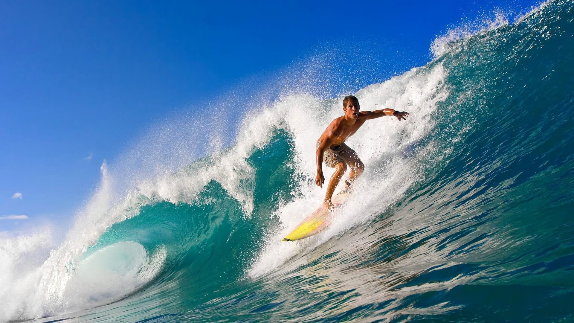 _运动营养餐创新：科学助力运动表现_，运动营养食品的合理使用方法